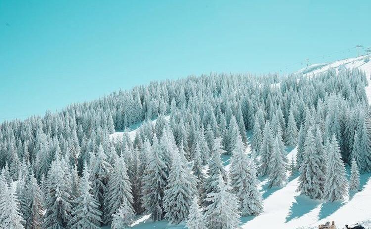 Dream Milmari L12 Apartman Kopaonik Exteriör bild